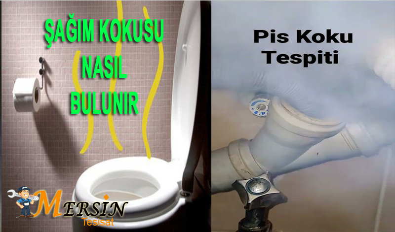 Koku Tespiti Nasıl Yapılır