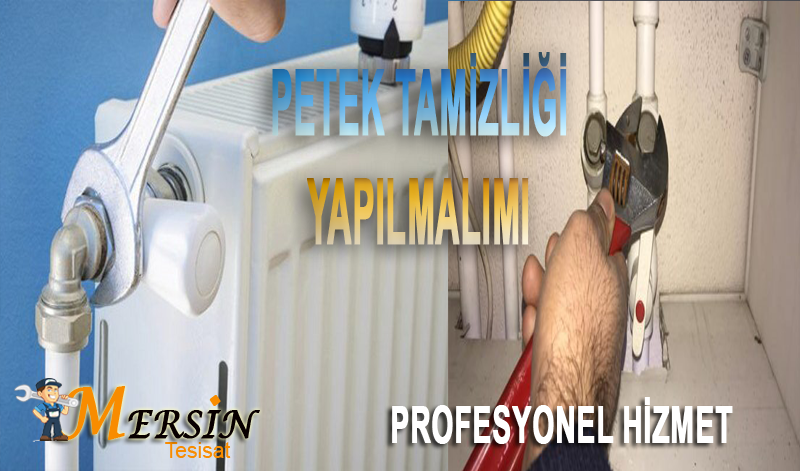 peteklerin temizliği