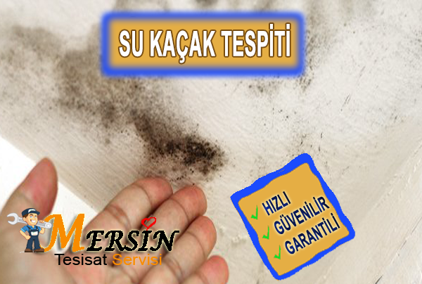 Davultepe Görüntülü Su Kaçağı Bulma