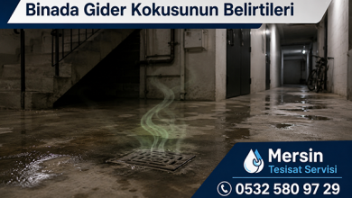 Bina Gider Kokusu Nasıl Giderilir